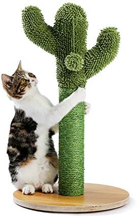 Made4Pets Kedi Tırmalama, Kaktüs Kedi Scratcher Yavru Tırmalama Sonrası ile Doğal Sisal Halat için Kapalı Kediler Pençe Scratcher,