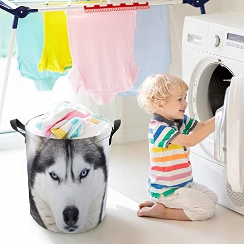 Sevimli Husky katlanabilir çamaşır sepeti sepet Depolama Organizatör giysi oyuncak koleksiyonu İçin Kapaklı
