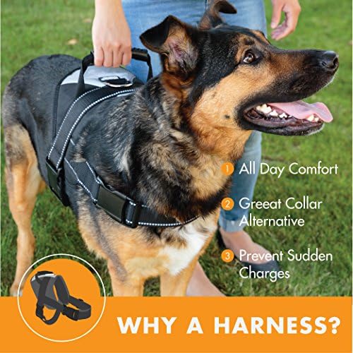 Friends Forever No Pull Dog Harness Büyük Köpekler için Büyük Cins Eğitim Koşumları, Ekstra Kontrol ve Güvenlik için Saplı