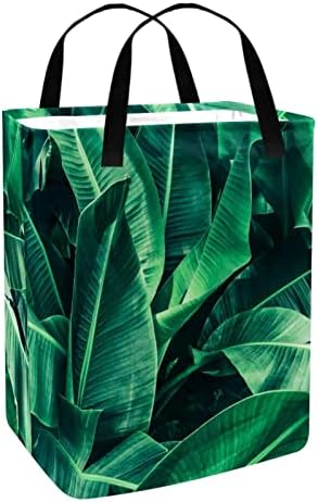 DJROW çamaşır Sepeti Tropikal Büyük Palmiye Yaprakları Doğa Koyu Yeşil Arka Plan Katlanabilir Çamaşır Sepeti için Banyo Yatak