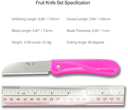 GAJING 4 ADET Katlanır meyve Bıçağı Plastik Saplı 0.78 oz Paslanmaz Çelik Bıçak Ayna Cilalı Keskin soyma Bıçağı 2-3/4 Bıçak