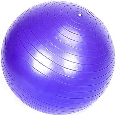 AISHEE Egzersiz Topu için Yoga, Denge, İstikrar, 65 cm 1050g Spor/Ev Patlamaya Dayanıklı Kalınlaşmak Yoga Topu Pürüzsüz Yüzey
