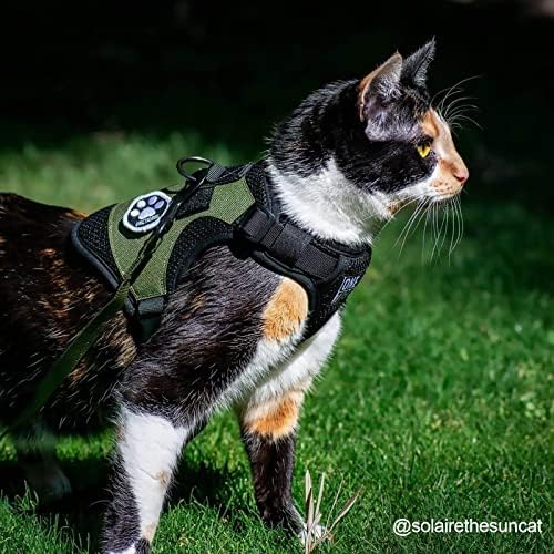 Yürüyüş için Köpek Koşum Takımı ve Tasma Seti, Kolay Kontrol Kaçış Geçirmez Kediler/Küçük Köpekler için Yumuşak Ayarlanabilir