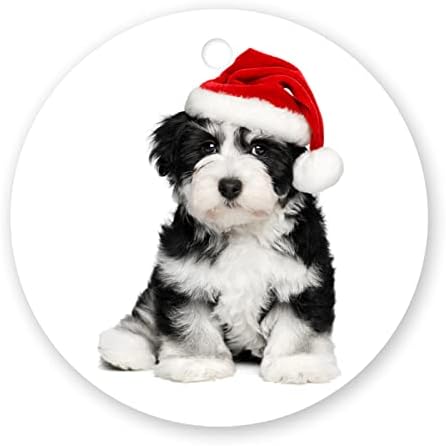 Merry Christmas Süs 2021 Noel Ağacı Asılı Dekor Köpek Noel Şapka