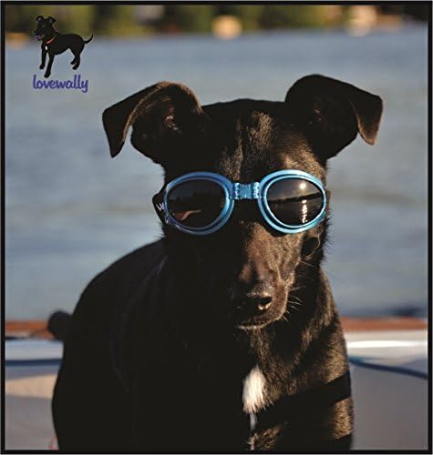 LoveWally Köpek Gözlükleri Mavi Güneş Gözlüğü Kırılmaz ve 100 UV Koruması