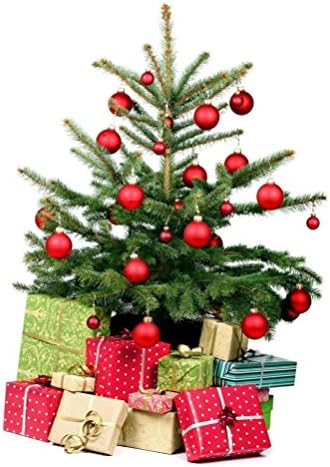IVYRISE Süs Topları Noel Ağacı Festivali Parti Dekoratif Asılı Top Kanca Asılı Dekor Topu, 24 ADET paketi, gül