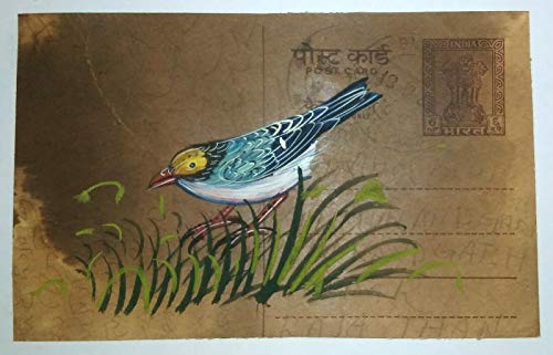 Hint Tiny Kuş Boyama El Yapımı Kuş Yapıt Üzerinde Eski Posta Kartı 6010