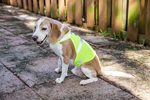2PET Köpek Av Yeleği ve Güvenlik Yansıtıcı Yelek - Yüksek Görünürlük için Kullanılır-Evcil Hayvanları Hem Kentsel hem de Kırsal