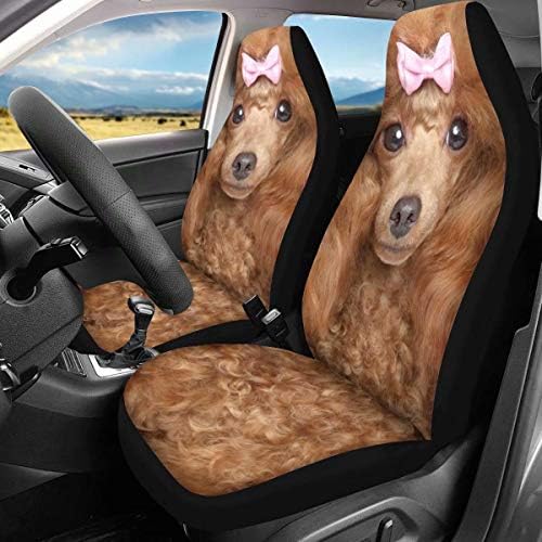 GİFTPUZZ Kızlar Kaniş Hayvan Pet Köpek Desen Araba Koltuğu Kapakları Kadınlar için Moda Otomotiv İç Araba Aksesuarları Ön Koltuklar