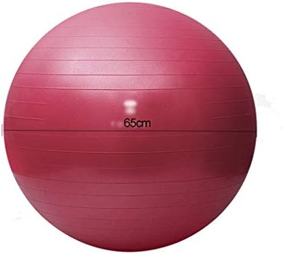 LİNGLİNG Egzersiz Topu hava Pompası ile Yumuşak Pilates Topu 65 cm Yoga Topu Çekirdek Eğitim için Mükemmel, Fizik Tedavi ve