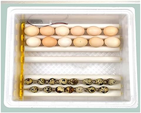 hohagb Yumurta Kuluçka 16 Yumurta Çift Güç Otomatik Civciv Kuluçka Küçük Ev Akıllı Kuluçka Mini Yumurta Kuluçka Yumurta Kuluçka