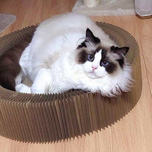 Rhfemd Oluklu Mukavva Kedi Tırmığı Lounge Yatak Kanepe Kanepe Kedi Yavrusu için Catnipli