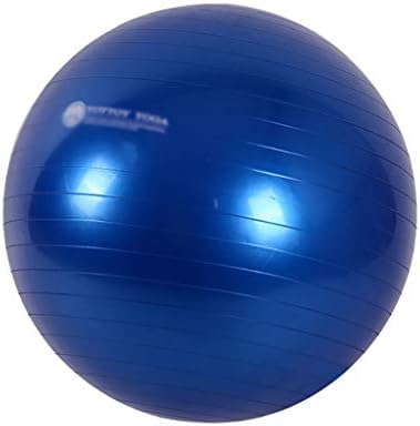 GSPYJQ Yoga Topu 55/65/75 cm Fitness Topu Yoga Topu Kalınlaşma Patlamaya Dayanıklı Çocuk Hamile Kadınlar Doğum Kilo Kaybı Denge