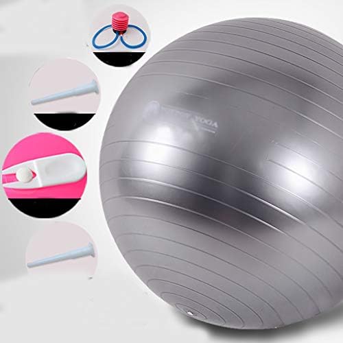 GSPYJQ Yoga Topu 55/65/75 cm Fitness Topu Yoga Topu Kalınlaşma Patlamaya Dayanıklı Çocuk Hamile Kadınlar Doğum Kilo Kaybı Denge